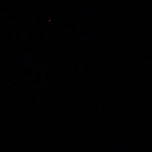 Meet your Posher, Ash